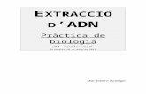 Extracció d'adn