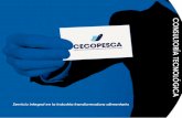 ANFACO-CECOPESCA Consultoría Tecnológica