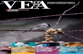 Revista Vega Numero 2