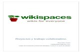Manual Wikispaces