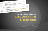 Data Mining in Marketing