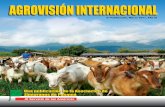 Agrovisión Internacional