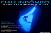 CHILE INDÓMITO - Número 4 - Mayo 2013