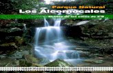 Parque Natural de los alcornocales: el libro de los niñ@s 2ºB - Abril 2014