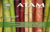 Revista ATAM Vol. 25 No. 2