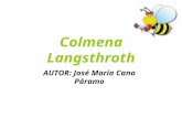 Colmena langsthroth (shema)