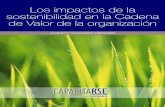 Los impactos de la sostenibilidad en la Cadena de Valor de la organización