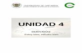DERIVADAS - UNIDAD IV