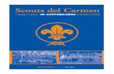 2008 - 40 aniversario Scouts del Carmen