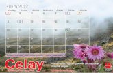 Calendario 2011 Laboratorio Cofasa