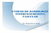 Estadisticas de la Unidad de Radiología Intervencionista Vascular