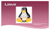 Versiones de Linux