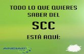 INFORMACIÓN SCC 2013-1