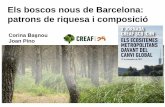 Els boscos nous de Barcelona: patrons de riquesa i composició