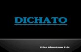 Proyecto Final - Dichato -