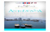 Libro Antofagasta