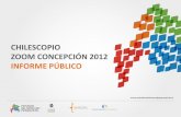 Informe Público Chilescopio Zoom Concepción 2012