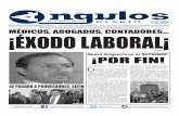 Àngulos Diario Ed.333 Mièrcoles 19/12/2012