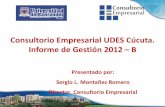 Informe Gestion Consultorio Empresarial 2012