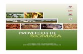 Guía Proyectos de Biomasa en Chile
