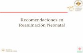 Recomendaciones en Reanimación Neonatal