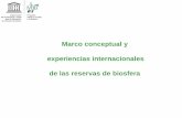 Marco conceptual y experiencias internacionales de las reservas de biosfera