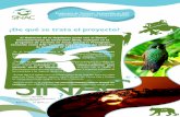 Boletín Oficial Programa de Turismo  Sostenible en ASP