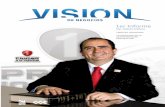 Vision y Negocios Ene09