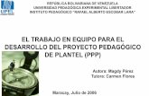 EL TRABAJO EN EQUIPO PARA EL DESARROLLO DEL PROYECTO PEDAGÓGICO DE PLANTEL (PPP)