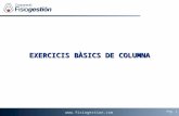 EXERCICIS BÀSICS DE COLUMNA