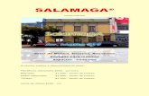Salamaga catalogo junio2014