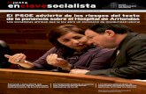 Boletin Grupo Parlamentario Socialista 29