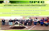 Informativo UPEC 2013