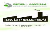 Newsletter I de Dimel Castilla