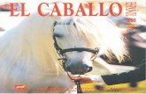Revista El Caballo Español 2000, n.137