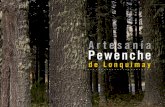 Artesanía Pewenche de Lonquimay (Catálogo)