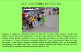 Lily Colombia en Dagua