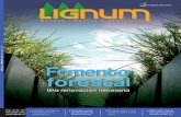 Revista Lignum Noviembre 2010 | Nº122