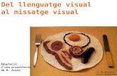 Característiques del llenguatge visual
