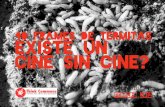 Think Commons | 40 frames de termitas, ¿existe un cine sin cine?