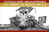 FOTOGALERÍA MEGAOFRENDA LOS INDIOS EN MÉXICO EN CU