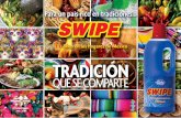 Swipe Catálogo Doméstico 2013