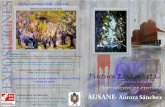 Catalogo exposicion Aurora Sanchez - AUSANE