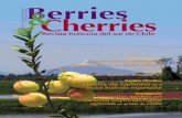 Berries & Cherries - Edición 8
