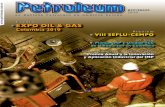 Noviembre 2010 - Petroleum 250