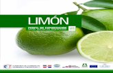 Perfil de Exportación del Limón desde República Dominicana