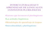 Diapositivas. Interculturalidad
