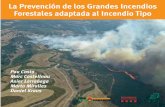La Prevención de los Grandes Incendios Forestales adaptada al Incendio Tipo