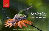 Quindes del Ecuador-Paúl Guerrero