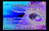 Revista ANES Laguna 2011.